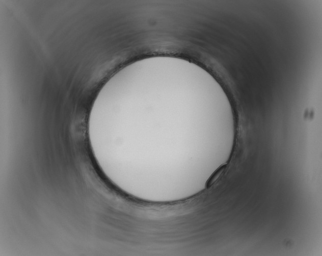 X0000112740017200909171213