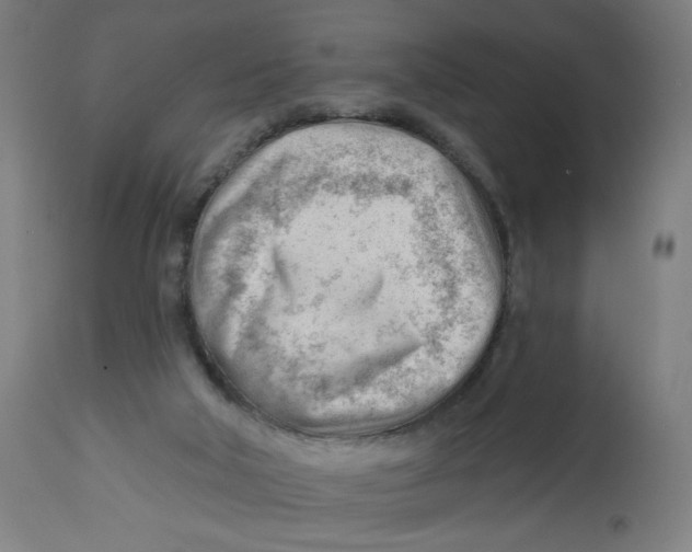 X0000112740018200909171213