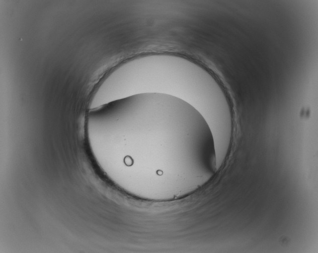 X0000112740019200909171212