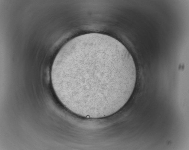 X0000112740020200909171212