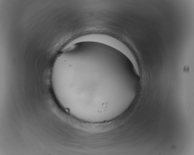 X0000112740023200909171212