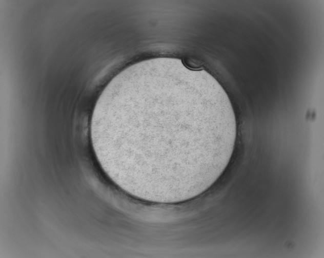 X0000112740024200909171212