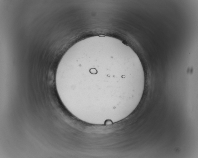 X0000112740025200909171212