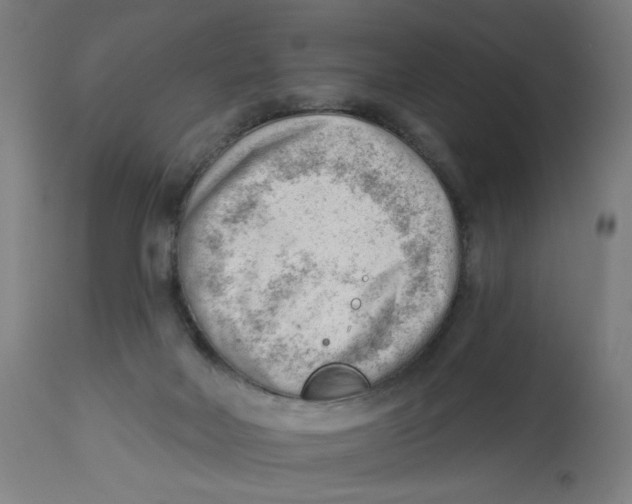 X0000112740026200909171212