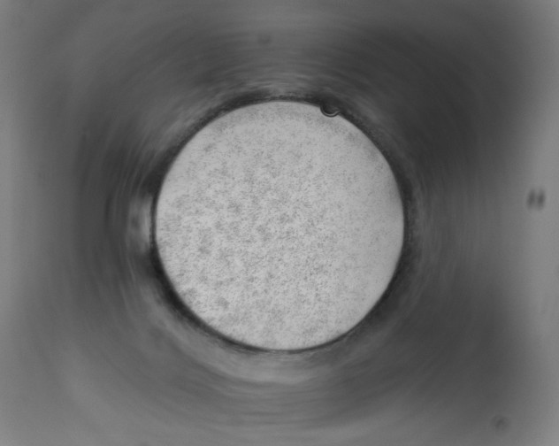 X0000112740028200909171212