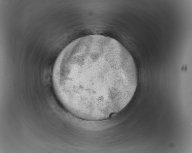 X0000112740030200909171212