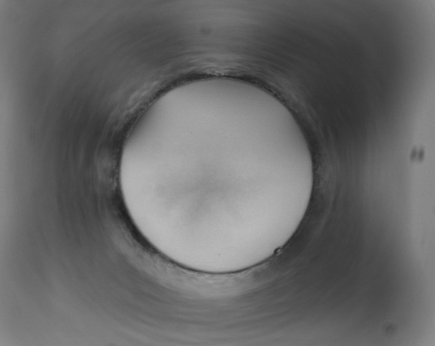 X0000112740031200909171212