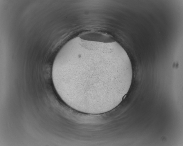 X0000112740036200909171212