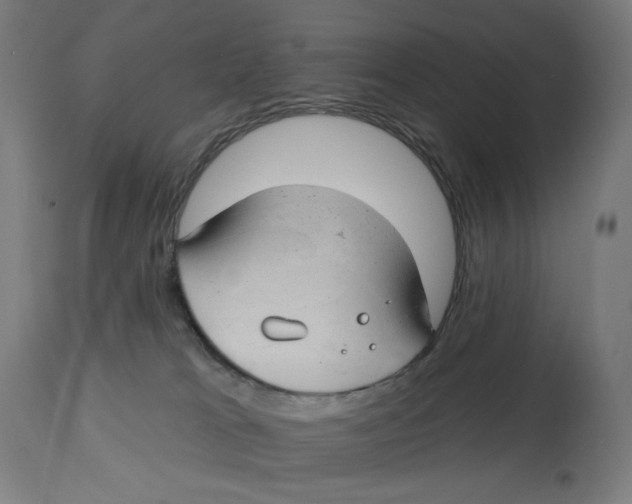 X0000112740037200909171212