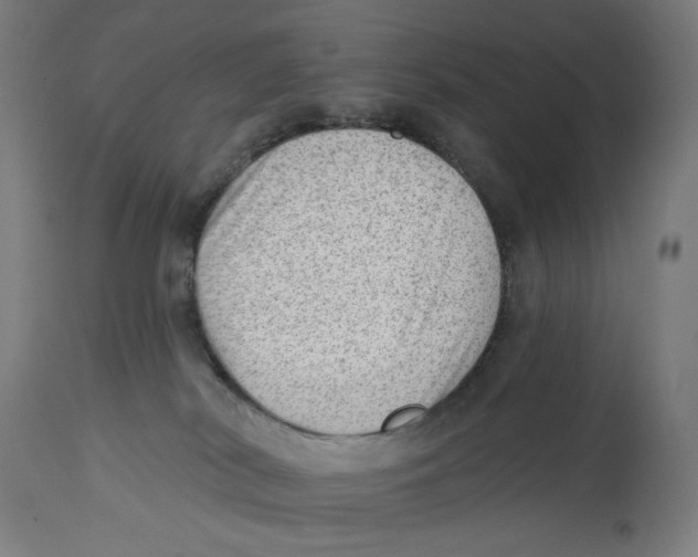 X0000112740038200909171212