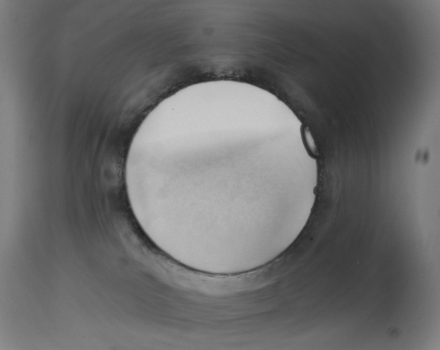 X0000112740039200909171212