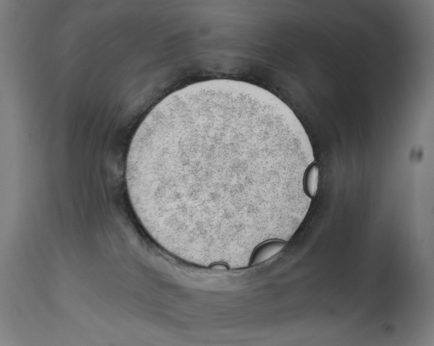 X0000112740040200909171212