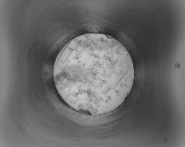 X0000112740043200909171212