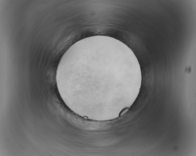 X0000112740044200909171212