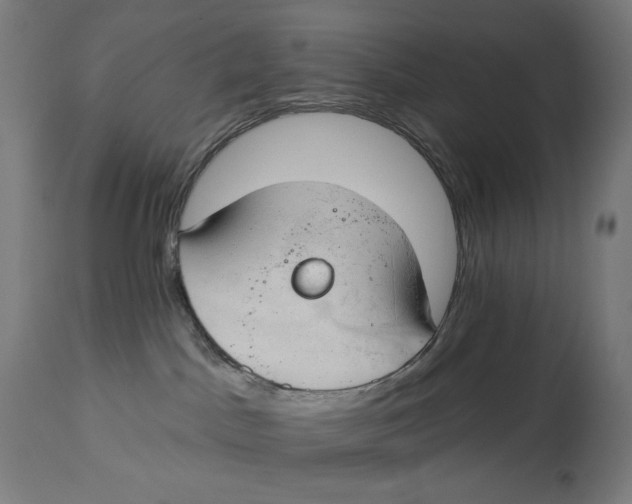 X0000112740045200909171212