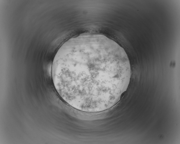 X0000112740047200909171212