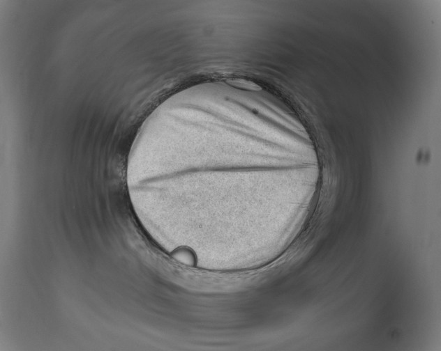 X0000112740048200909171212