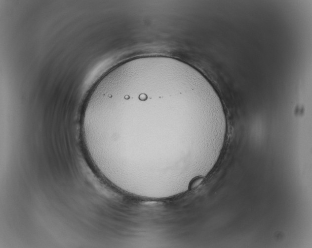 X0000112740053200909171211