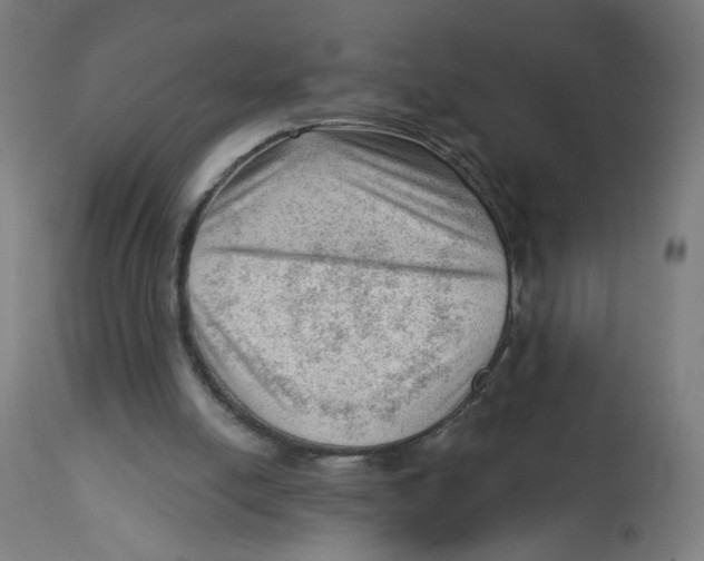 X0000112740054200909171211