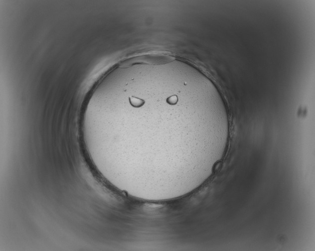 X0000112740055200909171211