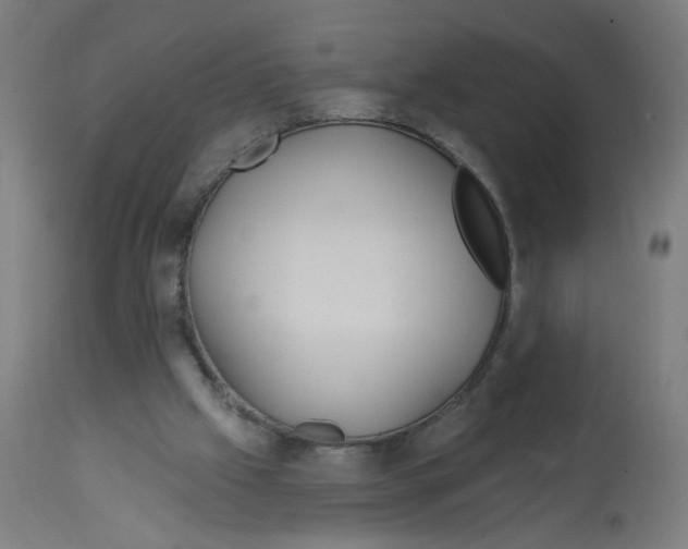 X0000112740057200909171211