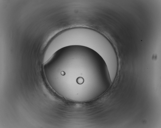 X0000112740060200909171211