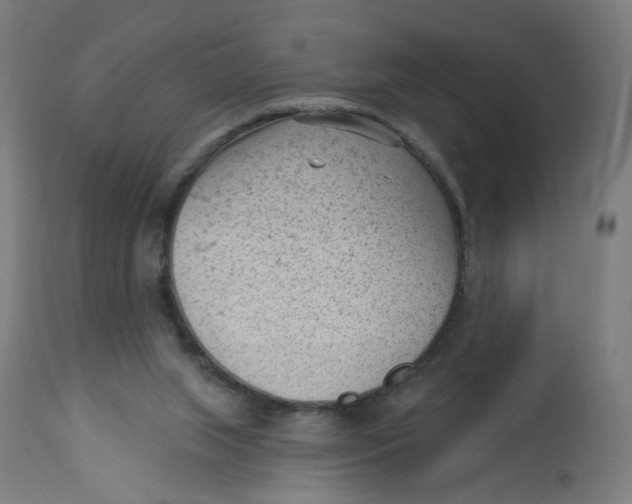 X0000112740063200909171211