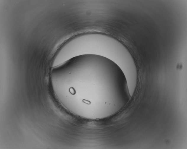 X0000112740064200909171211