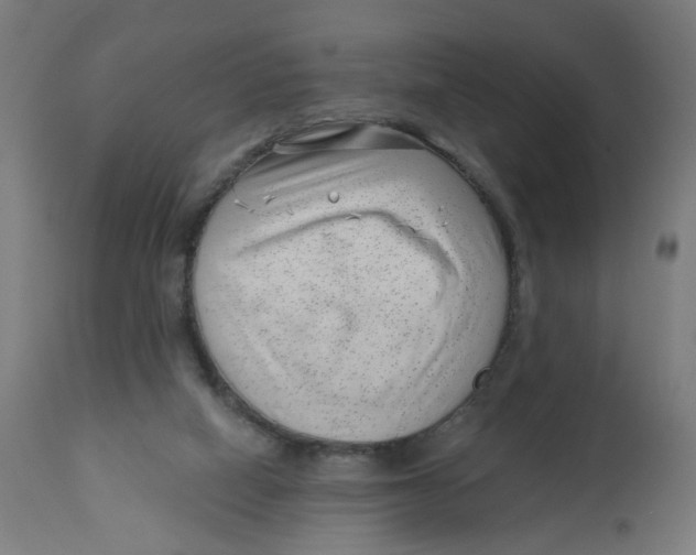 X0000112740066200909171211