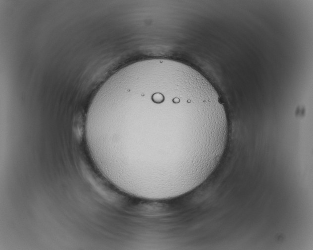 X0000112740069200909171211