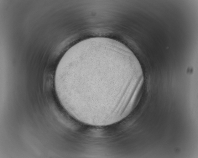 X0000112740071200909171211