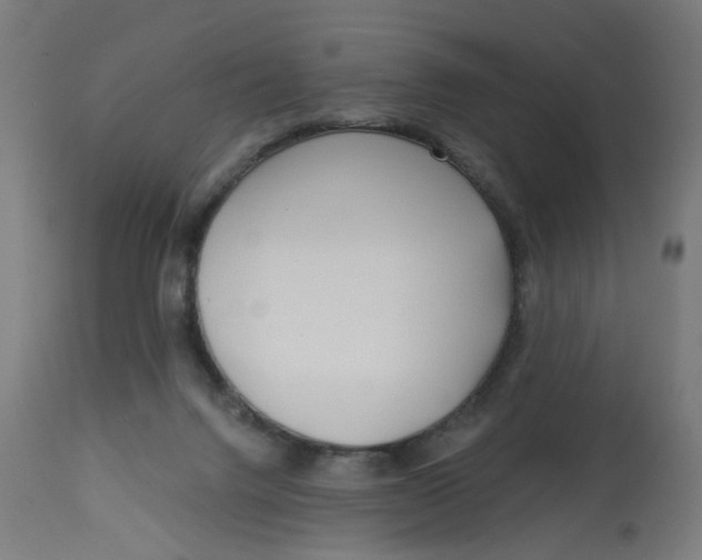 X0000112740072200909171211