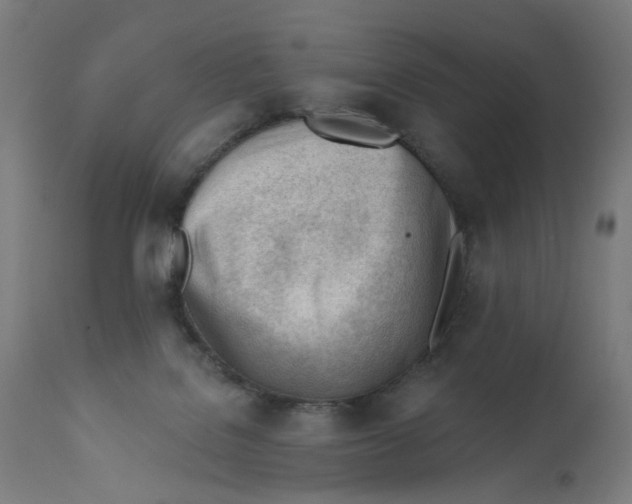 X0000112740076200909171211