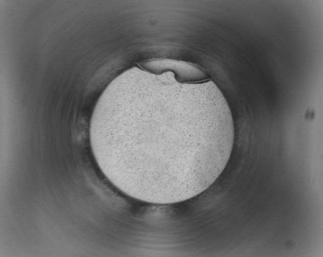 X0000112740077200909171211