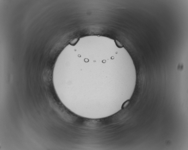 X0000112740079200909171211