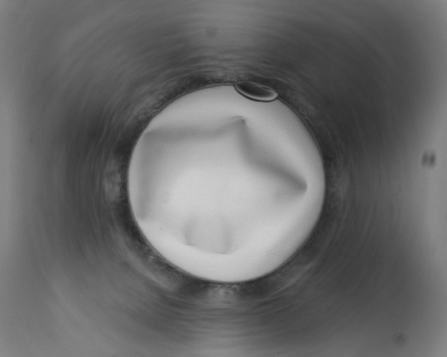 X0000112740080200909171211