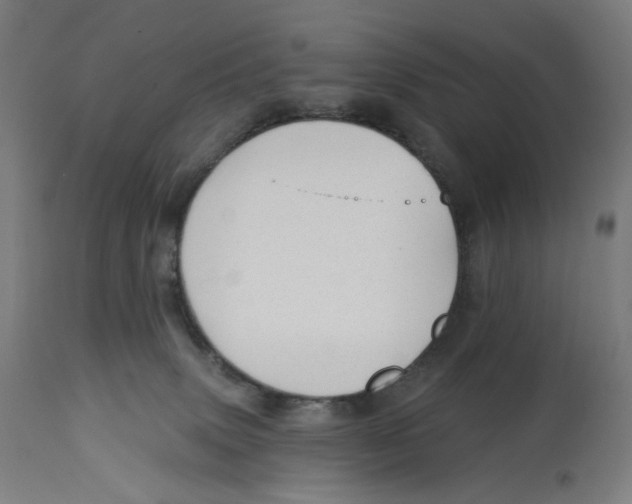 X0000112740083200909171211