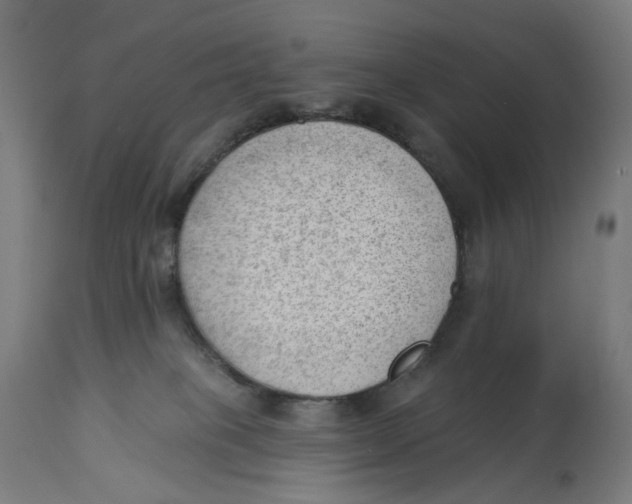 X0000112740085200909171211