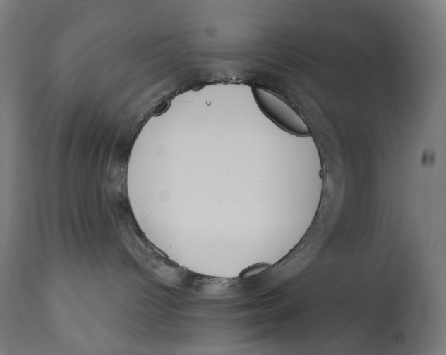 X0000112740096200909171212