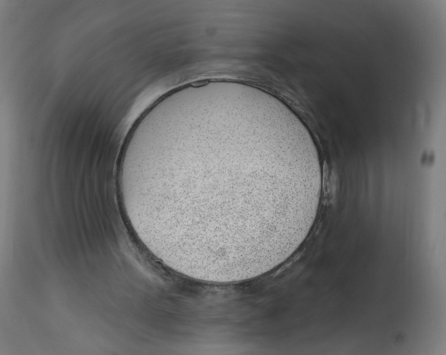 X0000112740099200909171211