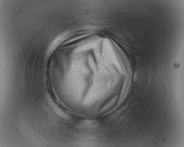 X0000112740101200909171211