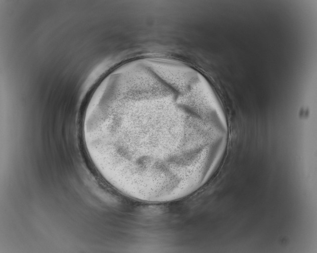 X0000112740102200909171211