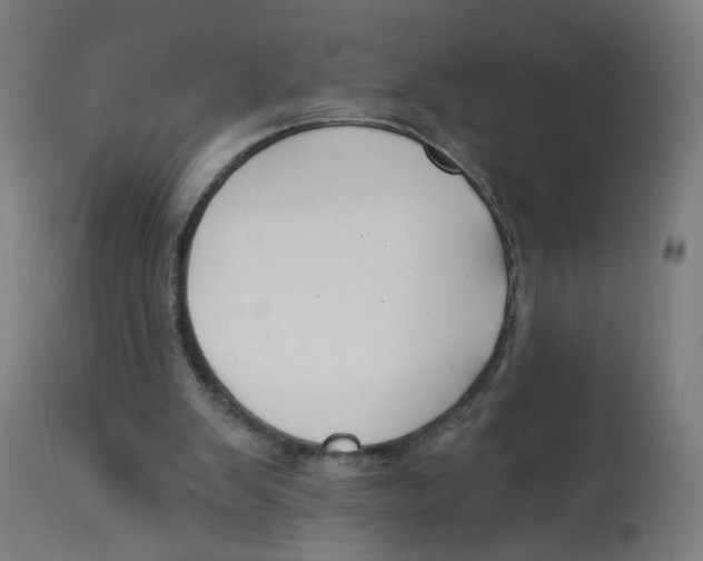 X0000112740103200909171211