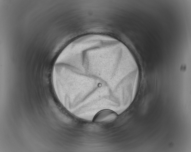 X0000112740106200909171211