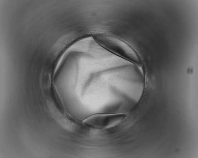 X0000112740109200909171211