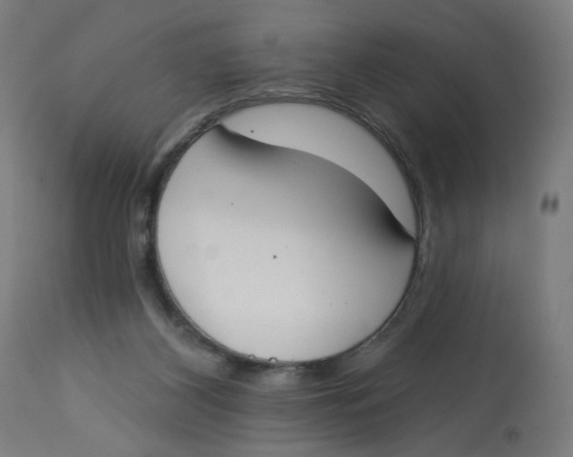 X0000112740116200909171210