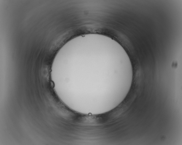 X0000112740121200909171210