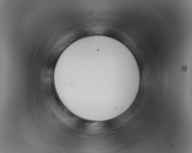 X0000112740122200909171210