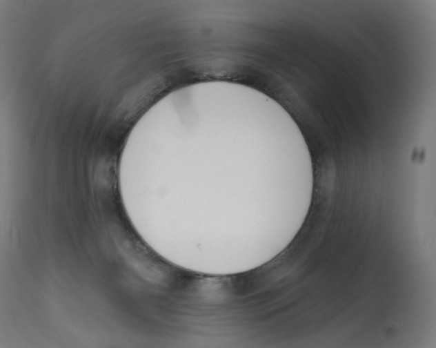 X0000112740126200909171210