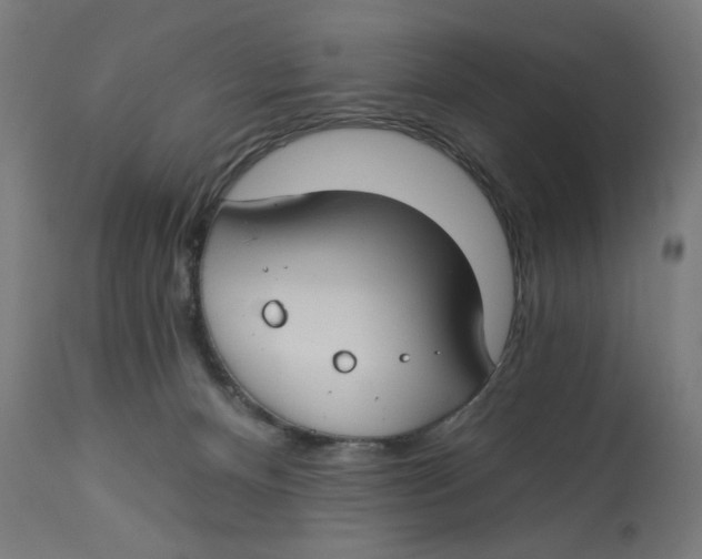 X0000112740128200909171210